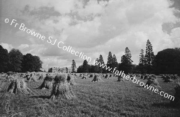 HARVESTING AT ST MARY'S  SHOWING HOUSE EMO COURT